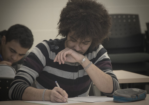 Programas de estudios regulares
