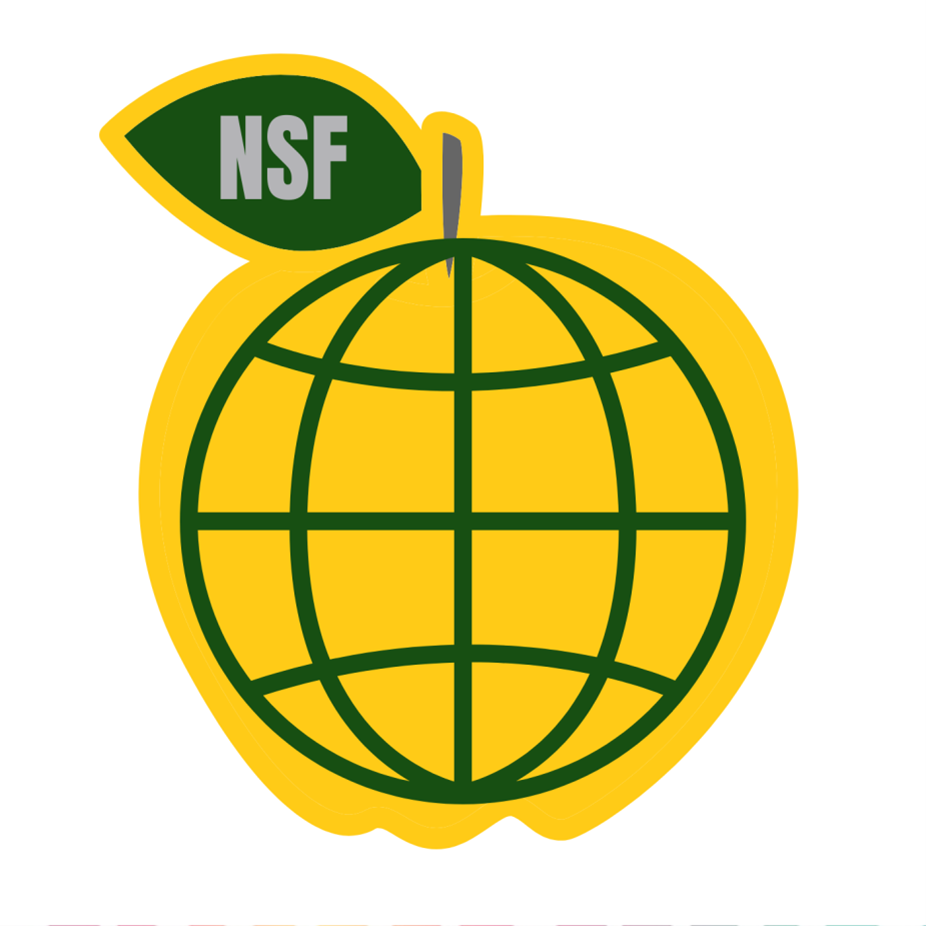 Logo NSF